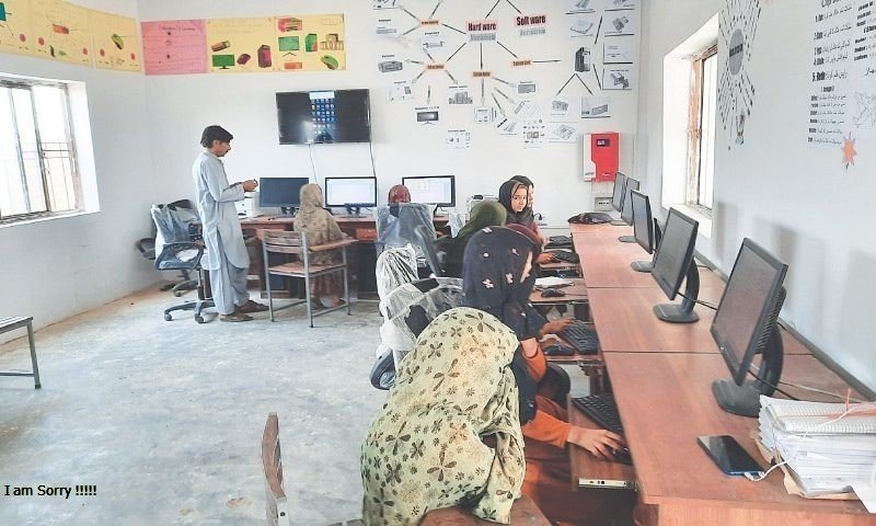 Young women learning at computers in a digital skills classroom